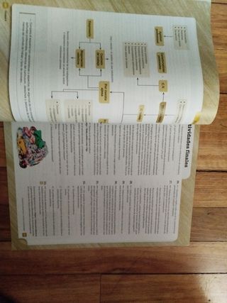 ECONOMÍA 4 eso... castellano 
