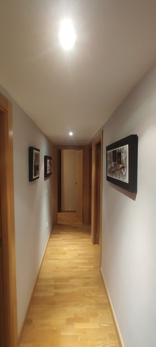 Pintura,alisado,pladur,alicatado,manita