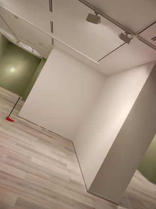 Pintura,alisado,pladur,alicatado,manita