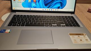 Asus VivoBook 17.3" Gris