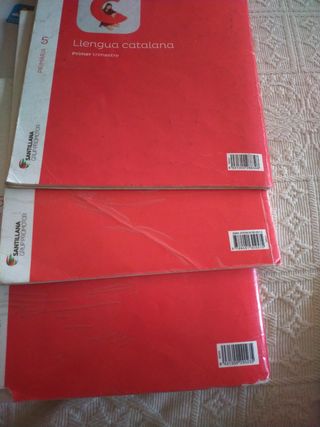 LLENGUA 5 PRIMARIA SABER FER (Catalan Edition)