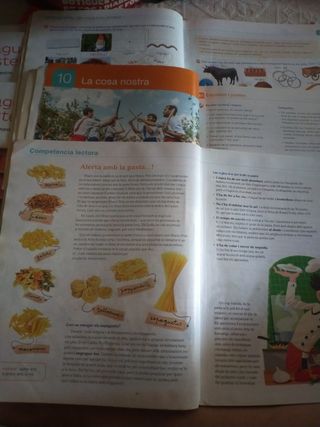 LLENGUA 5 PRIMARIA SABER FER (Catalan Edition)