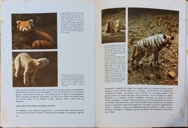 Libro per bambini Il Bambino Chiede (1982)