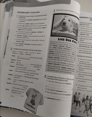 Teamwork 4eso Wb (Spanish) 21