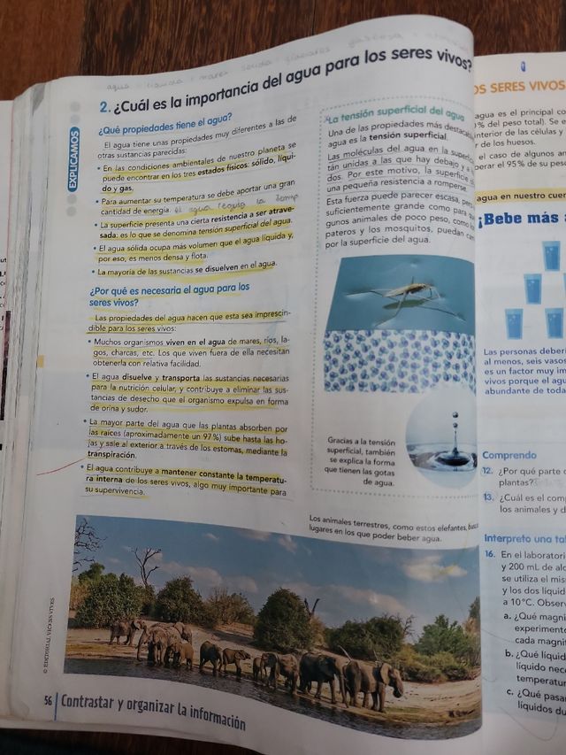 BIOLOGIA Y GEOLOGIA 1 (COMUNIDAD EN RED)