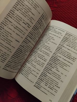 Dizionario Francese