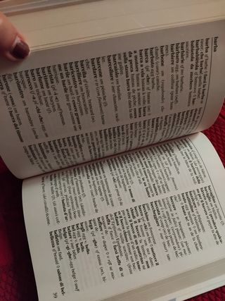 Dizionario Francese