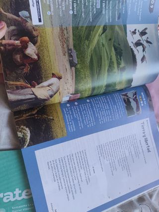 Lengua Castellana y Literatura 4º ESO. Libro de...