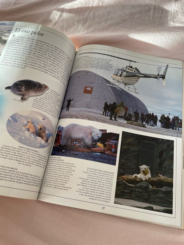 El cambio climático 
SM