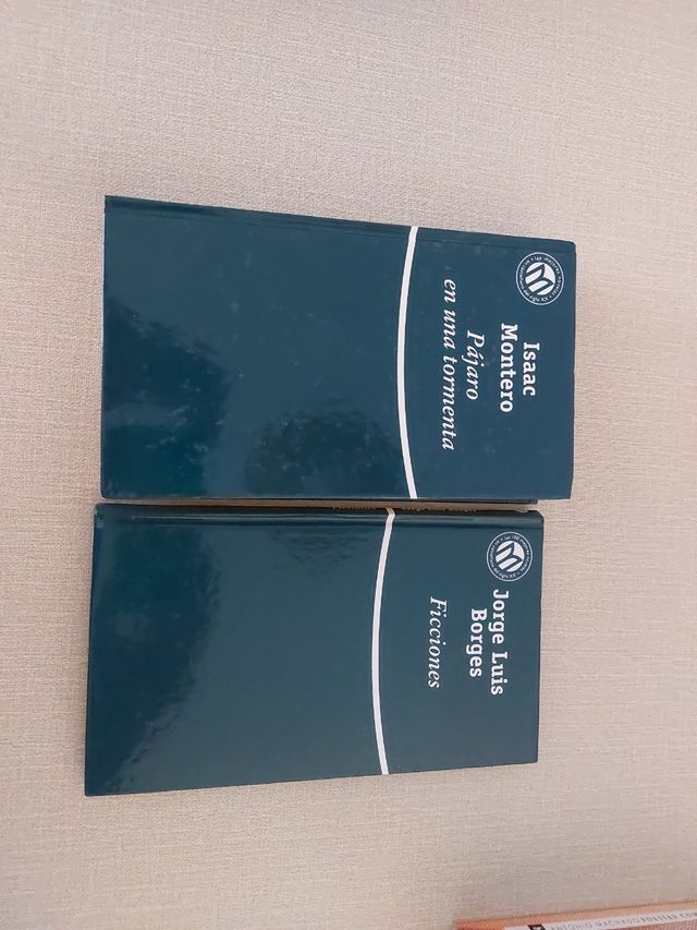 Pájaro en una tormenta y Ficciones