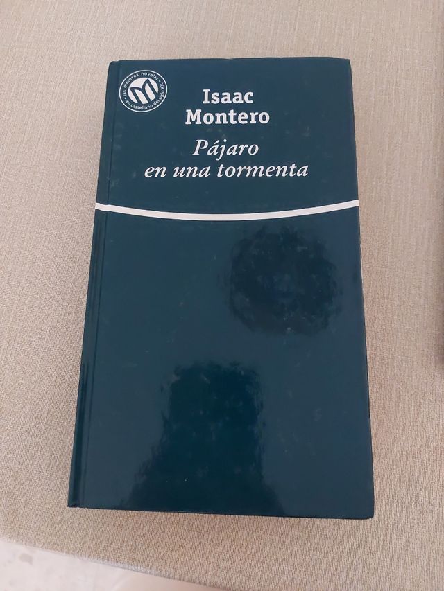 Pájaro en una tormenta y Ficciones