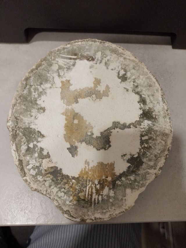 Escudo Gestores Administrativos