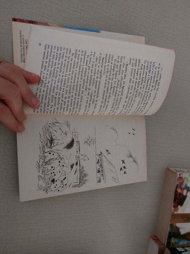 Chanchito Piesdeperro