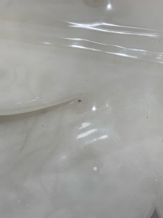 Centrotavola svuotatasche a foglia in alabastro