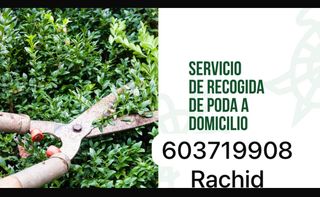 Retirada de poda de jardín