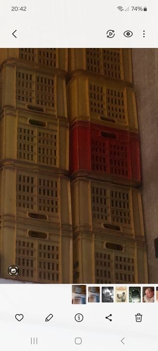 40 cajas de plástico