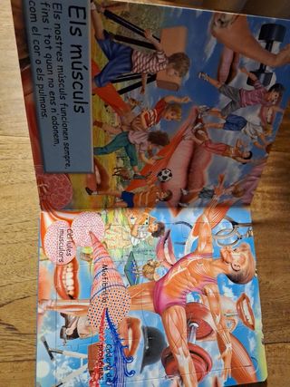 El cos humà llibre infantil
Puzzle trencaclosques