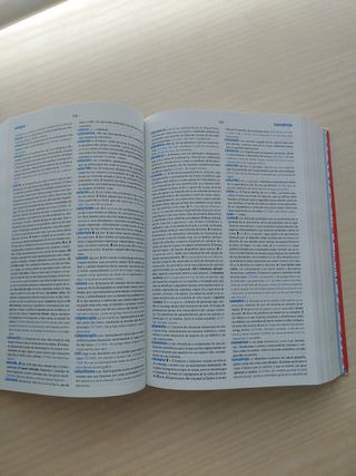 Diccionario Secundaria y Bachillerato. Lengua e...
