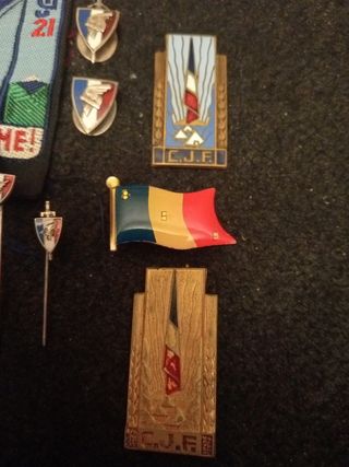 Insignias LVF Petain: Parche y pines