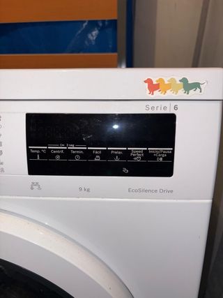 Lavadora Bosch Serie 6 9kg EcoSilence