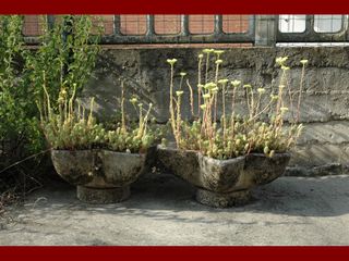 Fioriere in cemento varie misure