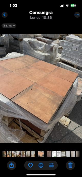 Gres Caldera Cotto 31x31cm en oferta 9,99 eurm