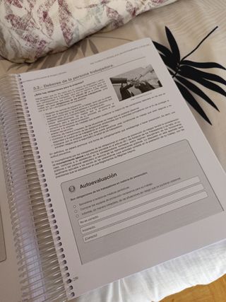 Itinerario Empleabilidad I