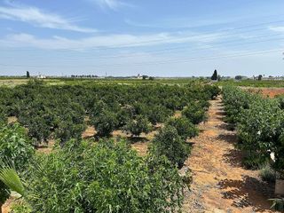 Terreno en venta en Alcàsser