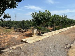 Terreno en venta en Alcàsser
