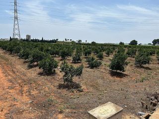 Terreno en venta en Alcàsser