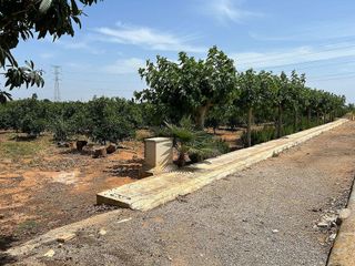 Terreno en venta en Alcàsser