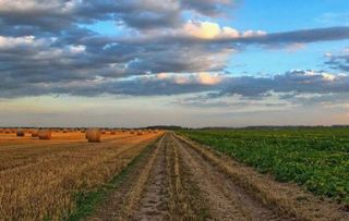 Terreno en venta en Alcàsser