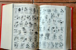 Vocabolario italiano Zingarelli - Ed. Zanichelli