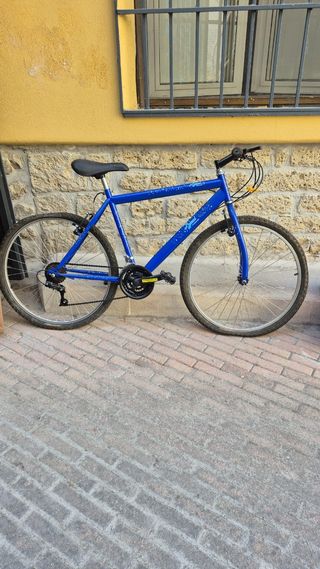 Bicicletta da Montagna Blu