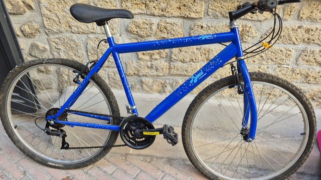 Bicicletta da Montagna Blu