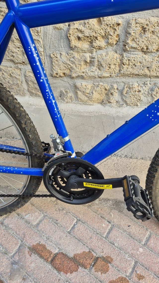 Bicicletta da Montagna Blu