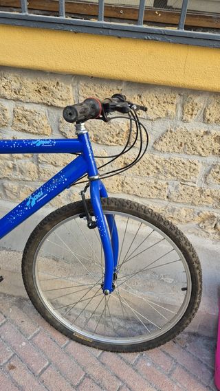 Bicicletta da Montagna Blu