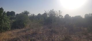 Solar en venta en Algaida