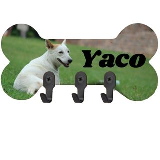 Perchero mascotas - Colgadores para accesorios