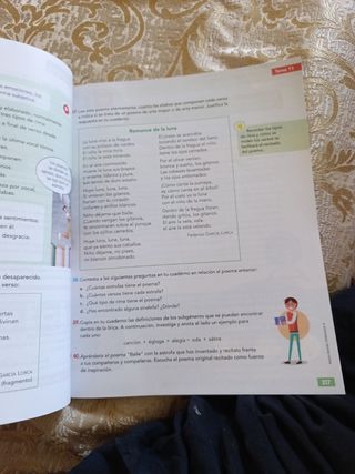 LENGUA CASTELLANA Y LITERATURA 6 TRIM (CZ)