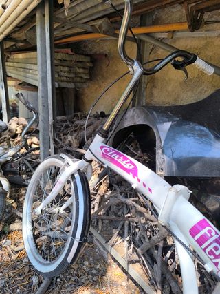 Bicicletta pieghevole Cinzia Flexi