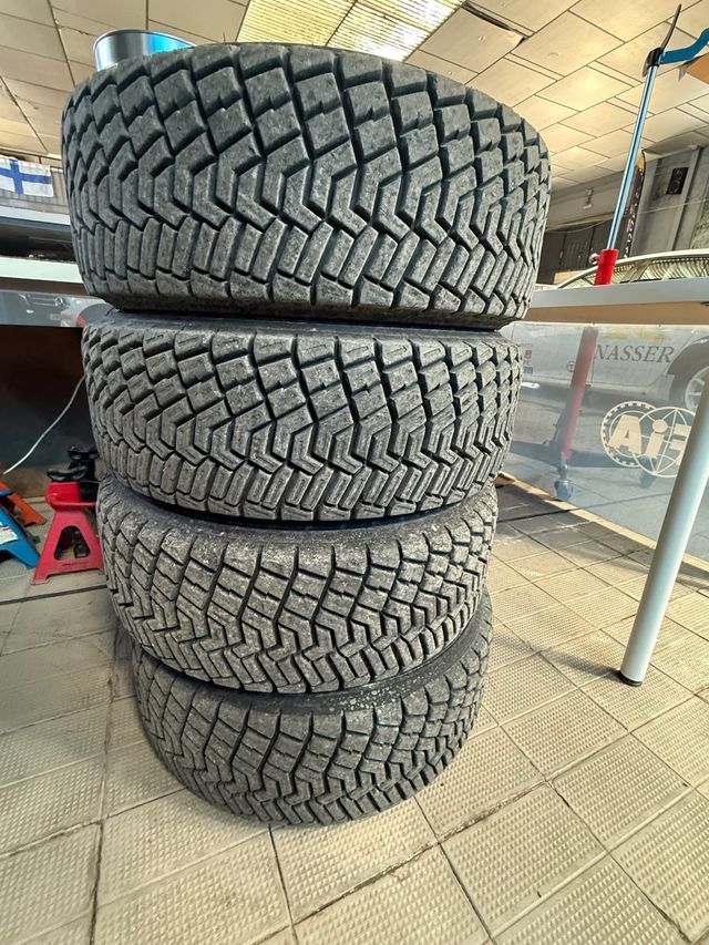 Neumáticos Rally: Tierra, asfalto, nieve (15/16/17