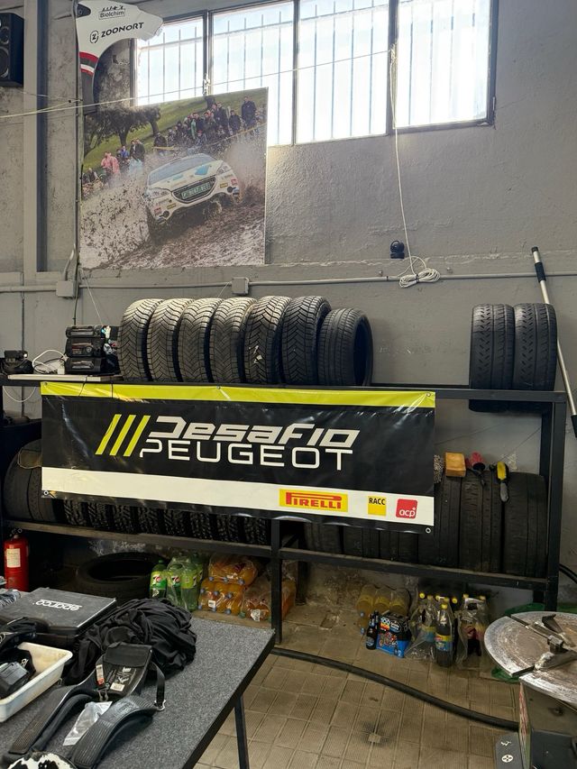 Neumáticos Rally: Tierra, asfalto, nieve (15/16/17