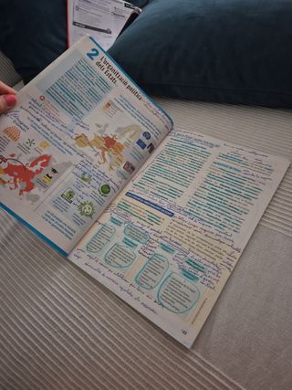 GEOGRAFIA I HISTORIA 3 (LC+QA+DIGITAL) SITUACIONS