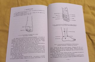 Localización de los Puntos Acunpunturales .