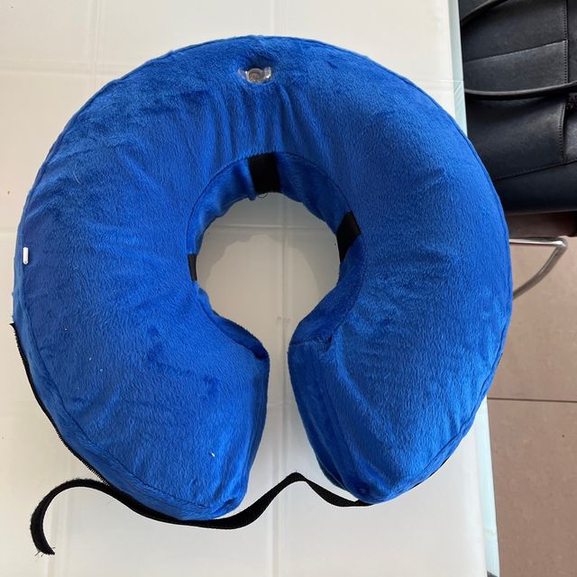 Collarín hinchable para perro - Talla L