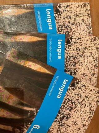 libro 6 primaria lengua sm