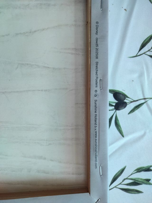 Lienzo Princesas Disney