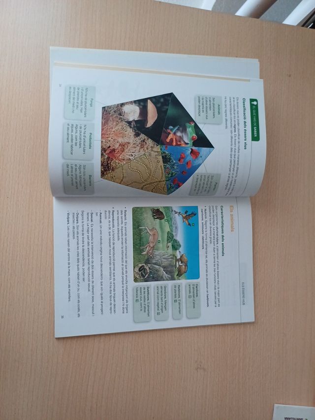 Libros de repaso resumidos de 6º primaria