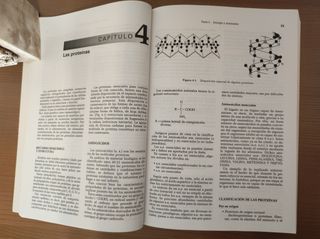ALIMENTACION Y DIETOTERAPIA